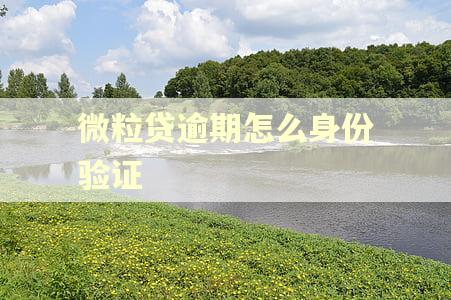微粒贷逾期怎么身份验证