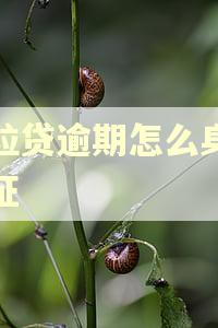 微粒贷逾期怎么身份验证 微粒贷逾期怎么身份验证