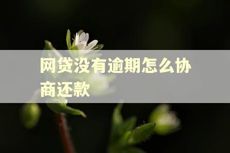 网贷没有逾期怎么协商还款