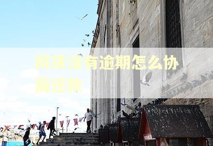 网贷没有逾期怎么协商还款