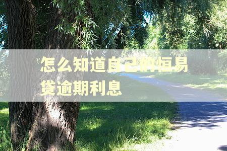 怎么知道自己的恒易贷逾期利息