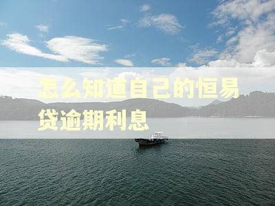 怎么知道自己的恒易贷逾期利息