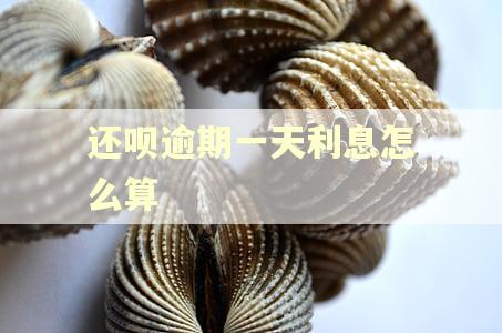 还呗逾期一天利息怎么算