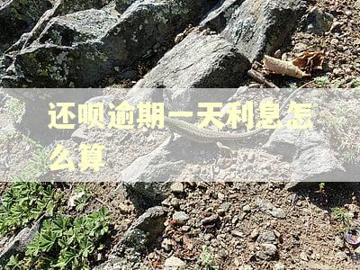 还呗逾期一天利息怎么算