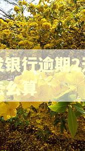 浦发银行逾期2天费用怎么算