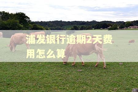 浦发银行逾期2天费用怎么算 浦发银行逾期2天费用怎么算