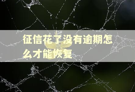 征信花了没有逾期怎么才能恢复