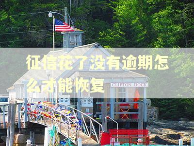 征信花了没有逾期怎么才能恢复