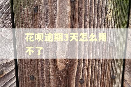 花呗逾期3天怎么用不了