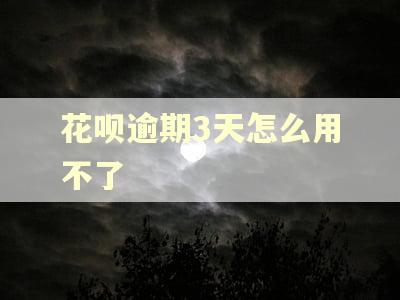 花呗逾期3天怎么用不了