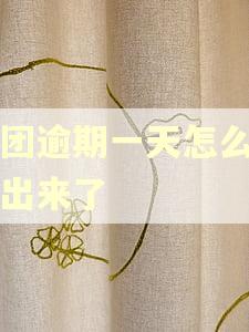 美团逾期一天怎么借不出来了 美团逾期一天怎么借不出来了