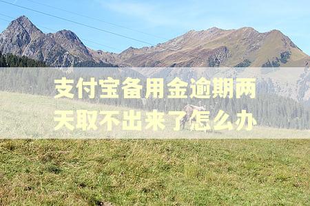 支付宝备用金逾期两天取不出来了怎么办