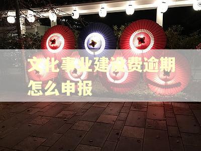 文化事业建设费逾期怎么申报 文化事业建设费逾期怎么申报