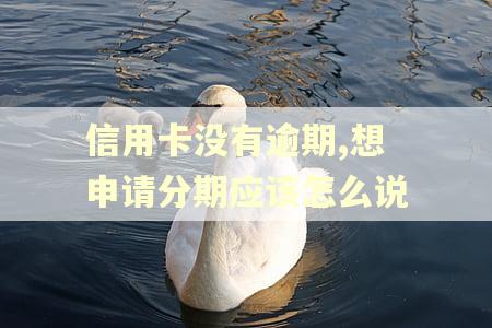 信用卡没有逾期,想申请分期应该怎么说