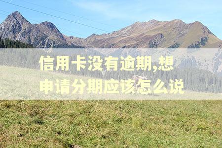信用卡没有逾期,想申请分期应该怎么说