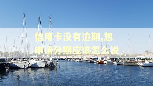 信用卡没有逾期,想申请分期应该怎么说 信用卡没有逾期,想申请分期应该怎么说