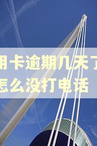 信用卡逾期几天了银行怎么没打电话