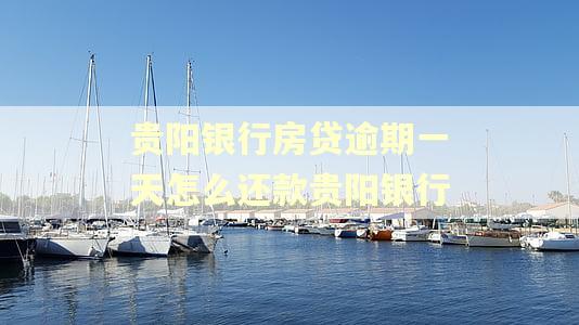 贵阳银行房贷逾期一天怎么还款贵阳银行 贵阳银行房贷逾期一天怎么还款贵阳银行