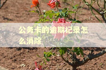 公务卡的逾期记录怎么消除