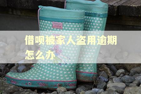 借呗被家人盗用逾期怎么办 借呗被家人盗用逾期怎么办