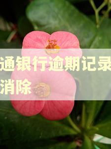 交通银行逾期记录怎么消除