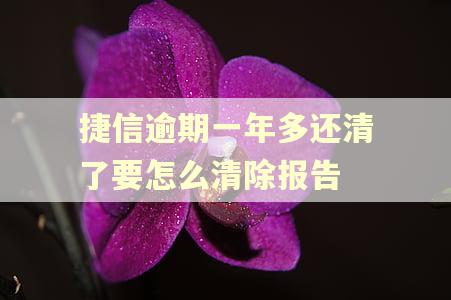 捷信逾期一年多还清了要怎么清除报告