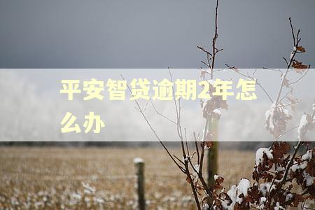 平安智贷逾期2年怎么办