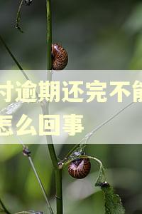 分付逾期还完不能用了怎么回事