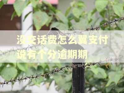 没交话费怎么翼支付说有个分逾期期