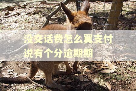 没交话费怎么翼支付说有个分逾期期