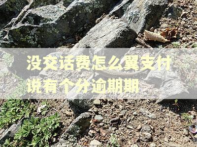 没交话费怎么翼支付说有个分逾期期 没交话费怎么翼支付说有个分逾期期