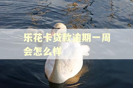 乐花卡贷款逾期一周会怎么样