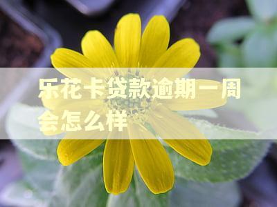 乐花卡贷款逾期一周会怎么样 乐花卡贷款逾期一周会怎么样
