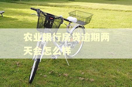 农业银行房贷逾期两天会怎么样