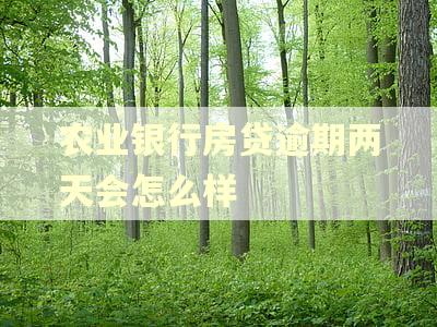农业银行房贷逾期两天会怎么样