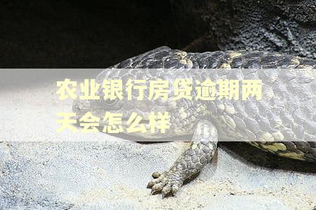 农业银行房贷逾期两天会怎么样