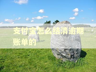 支付宝怎么结清逾期账单的