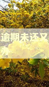借呗逾期未还又失联怎么办 借呗逾期未还又失联怎么办