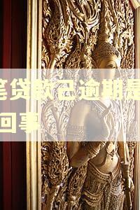 0笔贷款己逾期是怎么回事