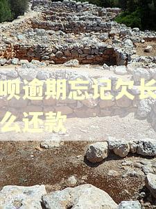 花呗逾期忘记欠长号怎么还款