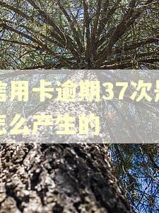 信用卡逾期37次是怎么产生的