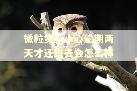 微粒贷不小心逾期两天才还进去会怎么样 微粒贷不小心逾期两天才还进去会怎么样