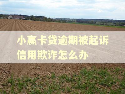 小赢卡贷逾期被起诉信用欺诈怎么办 小赢卡贷逾期被起诉信用欺诈怎么办