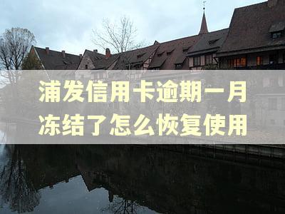 浦发信用卡逾期一月冻结了怎么恢复使用