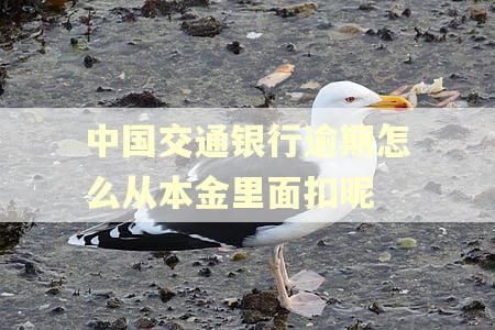 中国交通银行逾期怎么从本金里面扣昵