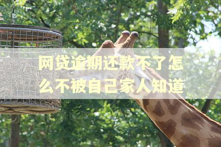 网贷逾期还款不了怎么不被自己家人知道