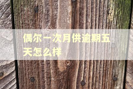偶尔一次月供逾期五天怎么样