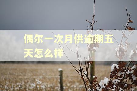 偶尔一次月供逾期五天怎么样
