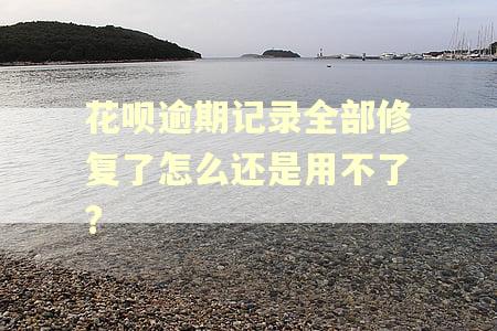 花呗逾期记录全部修复了怎么还是用不了?