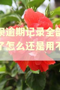 花呗逾期记录全部修复了怎么还是用不了?